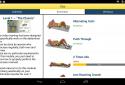 Abs Workout - Daily Fitness screenshot 24