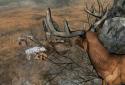Life Of Deer screenshot 3