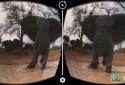 360 VR Player PRO | Videos screenshot 7