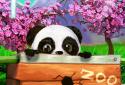 Daily Panda: домашня тварина screenshot 6