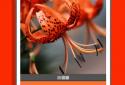 Fira Icon Pack screenshot 5