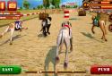 Dog Race & Stunts 2016 screenshot 3