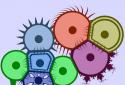 Cell Lab: Evolution Sandbox screenshot 5
