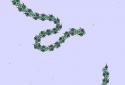 Cell Lab: Evolution Sandbox screenshot 7