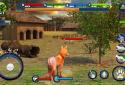 Wild Fox Adventures 2016 screenshot 10