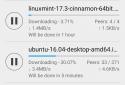 CatTorrent - Client Torrent screenshot 3