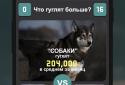 Що гуглят більше? screenshot 1