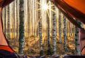 In Tent Live Wallpaper screenshot 11