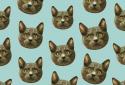 Patternator Pattern Maker Backgrounds & Wallpapers screenshot 3