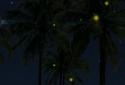Beach Palms Sea Sunrise 3D Live Wallpaper FREE LWP screenshot 4