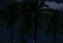 Beach Palms Sea Sunrise 3D Live Wallpaper FREE LWP screenshot 7