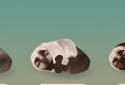 Cat Run screenshot 7