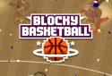 Blocky Basketball FreeStyle screenshot 11