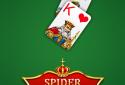 Spider Solitaire screenshot 3