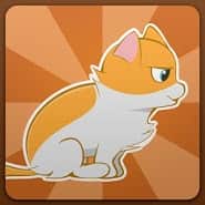 K Cat Free