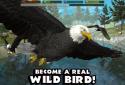Ultimate Bird Simulator screenshot 1