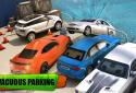 Park Like a Boss screenshot 4