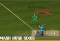 Big Bash Cricket screenshot 3