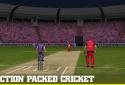 Big Bash Cricket screenshot 4
