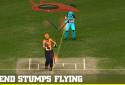 Big Bash Cricket screenshot 5