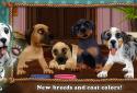 DogWorld - Puppies screenshot 2