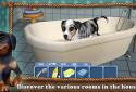 DogWorld - Puppies screenshot 5