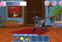 DogWorld - Puppies screenshot 6