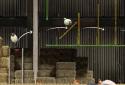Shaun the Sheep - Sheep Stack screenshot 2