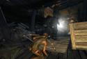 Tomb Raider screenshot 9