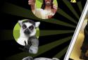 Memedroid Pro: Funny меми screenshot 1