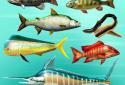The Fishing Club 3D screenshot 2