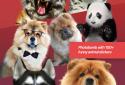 Pixomatic - layer based photo editor screenshot 2