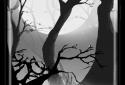 Spooky Forest screenshot 4