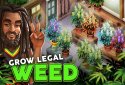 Hempire - Plant Growing Game screenshot 1