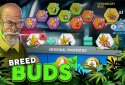 Hempire - Plant Growing Game screenshot 4