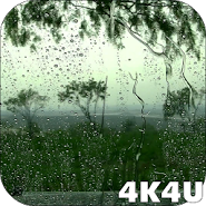 4K Rain Drops on Window Video Live Wallpaper