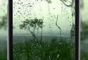 4K Rain Drops on Window Video Live Wallpaper screenshot 4