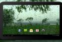 4K Rain Drops on Window Video Live Wallpaper screenshot 5