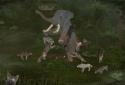Wild Animals Online(WAO) screenshot 3