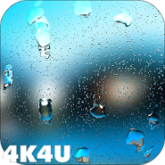 4K Rain Drops on Screen Video Live Wallpaper 4K Rain Drops on Screen Video Live Wallpaper