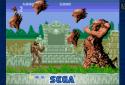 Altered Beast Classic screenshot 6