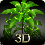 My plant 3D