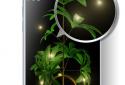 My plant 3D screenshot 3