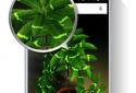 My plant 3D screenshot 4