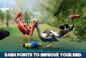 Pelican Bird Simulator 3D screenshot 4