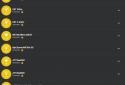 Wps Wpa Tester Premium screenshot 9