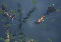 Tap Flight Wings : World War 2 - Fighter Bomber screenshot 4