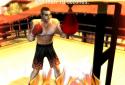 Iron Fist Boxing Lite : The Original Game MMA screenshot 7