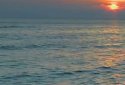 Ocean Live Wallpaper screenshot 3