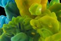 Ink in Water Live Wallpaper screenshot 5